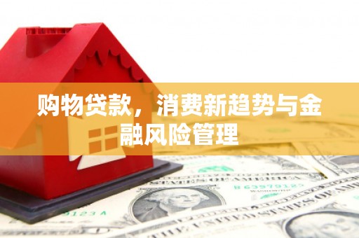 曲水购物贷款，消费新趋势与金融风险管理