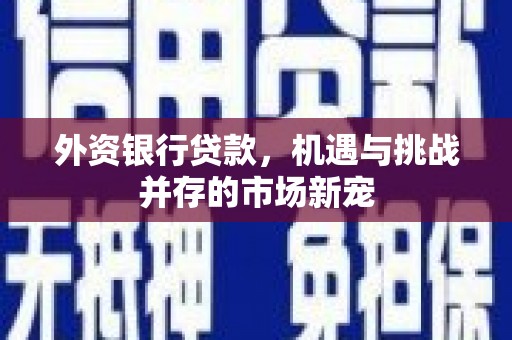曲水外资银行贷款，机遇与挑战并存的市场新宠