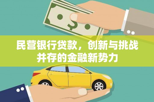 曲水民营银行贷款，创新与挑战并存的金融新势力