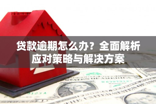 曲水贷款逾期怎么办？全面解析应对策略与解决方案