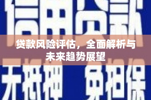 曲水贷款风险评估，全面解析与未来趋势展望