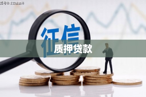 曲水质押贷款