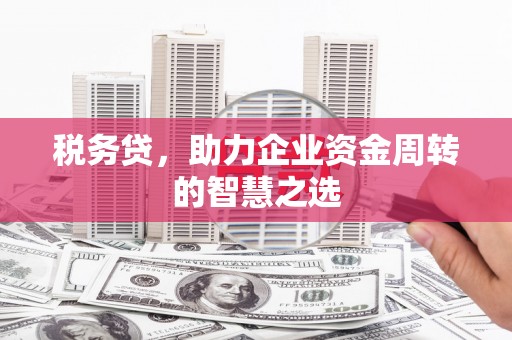 曲水税务贷，助力企业资金周转的智慧之选