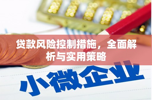 曲水贷款风险控制措施，全面解析与实用策略