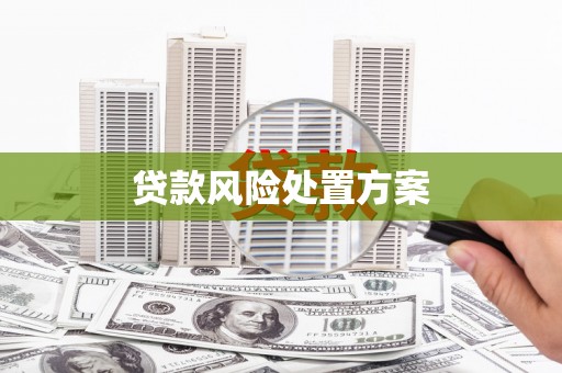曲水贷款风险处置方案