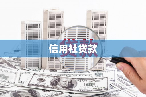曲水信用社贷款