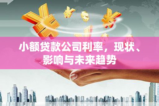 曲水小额贷款公司利率，现状、影响与未来趋势