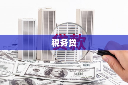 曲水税务贷