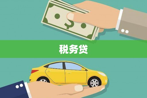 曲水税务贷