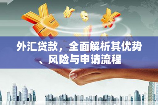 曲水外汇贷款，全面解析其优势、风险与申请流程