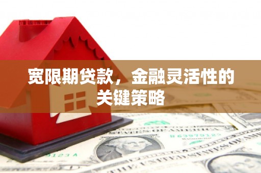 曲水宽限期贷款，金融灵活性的关键策略