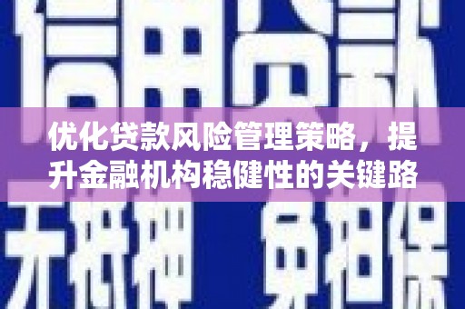 曲水优化贷款风险管理策略，提升金融机构稳健性的关键路径