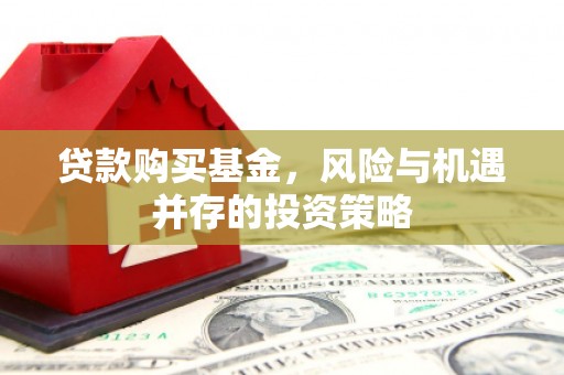 曲水贷款购买基金，风险与机遇并存的投资策略