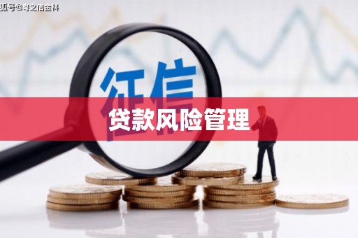 曲水贷款风险管理