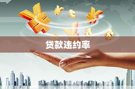 曲水贷款违约率