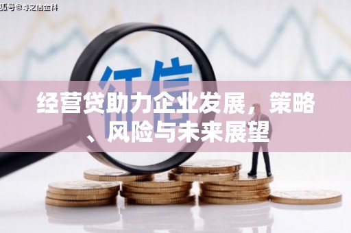 曲水经营贷助力企业发展，策略、风险与未来展望