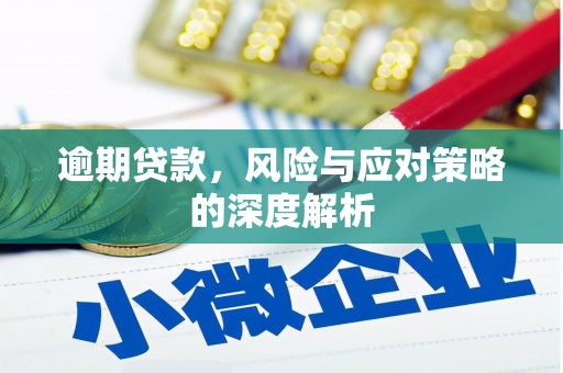 曲水逾期贷款，风险与应对策略的深度解析
