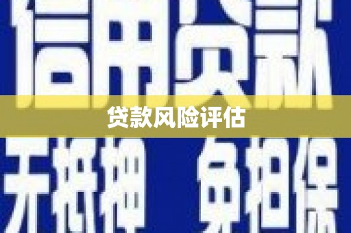 曲水贷款风险评估