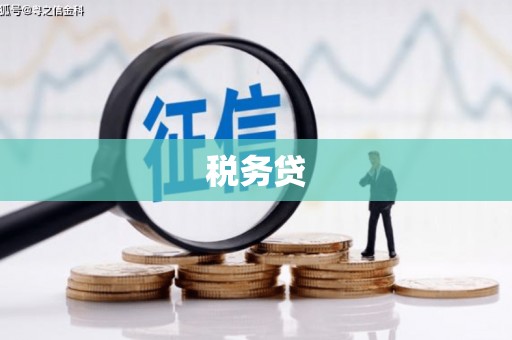 曲水税务贷
