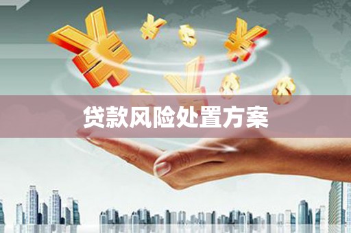 曲水贷款风险处置方案