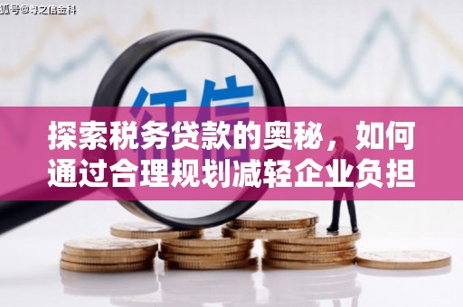 曲水探索税务贷款的奥秘，如何通过合理规划减轻企业负担