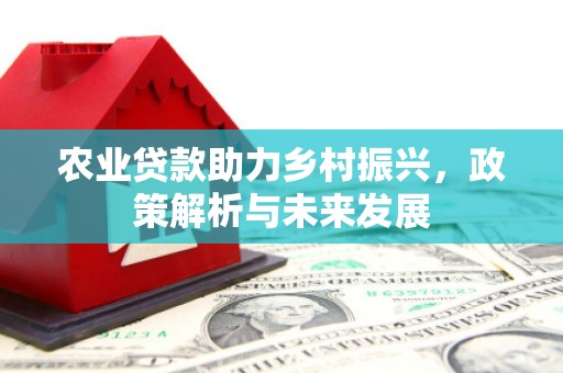 曲水农业贷款助力乡村振兴，政策解析与未来发展