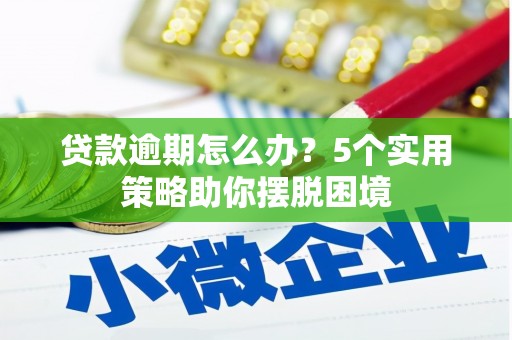 曲水贷款逾期怎么办？5个实用策略助你摆脱困境