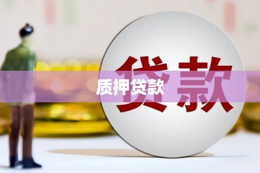 曲水质押贷款