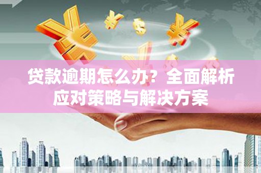 曲水贷款逾期怎么办？全面解析应对策略与解决方案