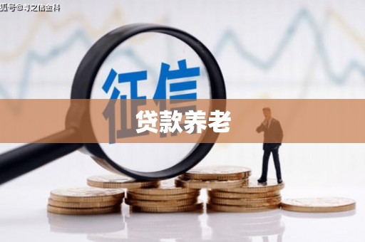曲水贷款养老
