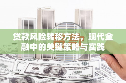 曲水贷款风险转移方法，现代金融中的关键策略与实践