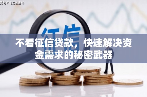 曲水不看征信贷款，快速解决资金需求的秘密武器
