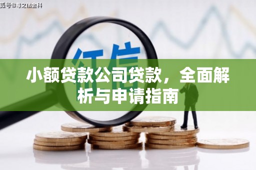 曲水小额贷款公司贷款，全面解析与申请指南