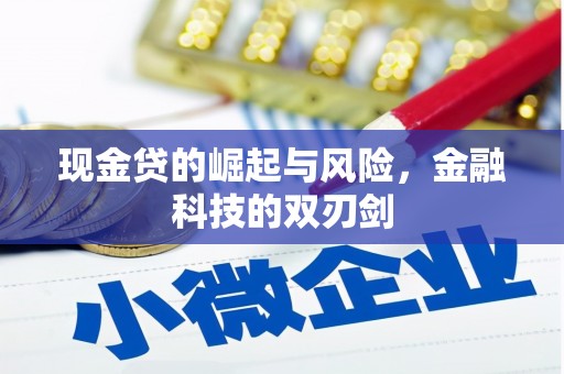 曲水现金贷的崛起与风险，金融科技的双刃剑