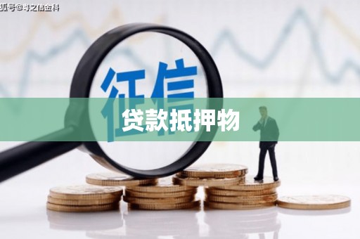 曲水贷款抵押物
