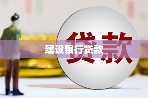 曲水建设银行贷款