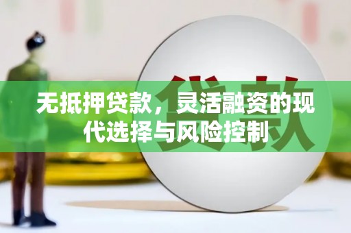 曲水无抵押贷款，灵活融资的现代选择与风险控制