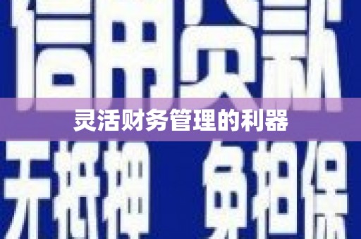 曲水灵活财务管理的利器