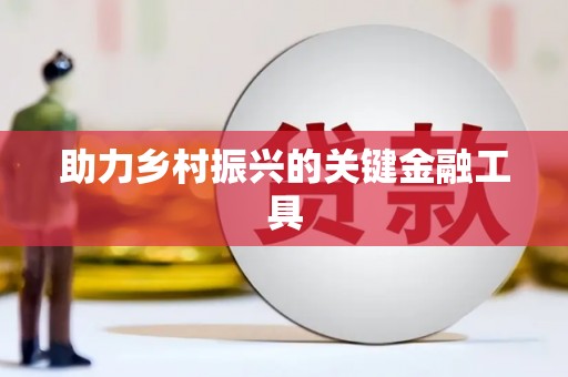 曲水助力乡村振兴的关键金融工具