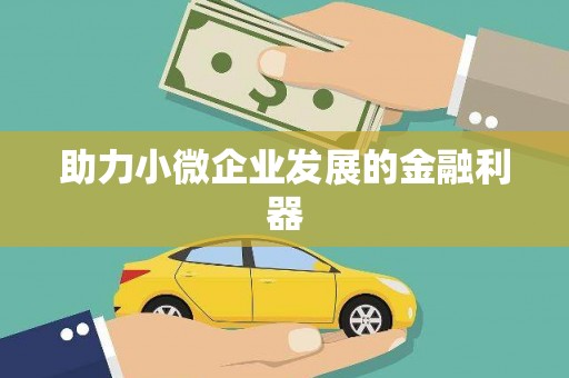 曲水助力小微企业发展的金融利器