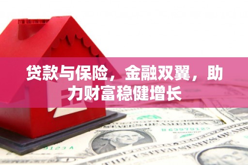 曲水贷款与保险，金融双翼，助力财富稳健增长