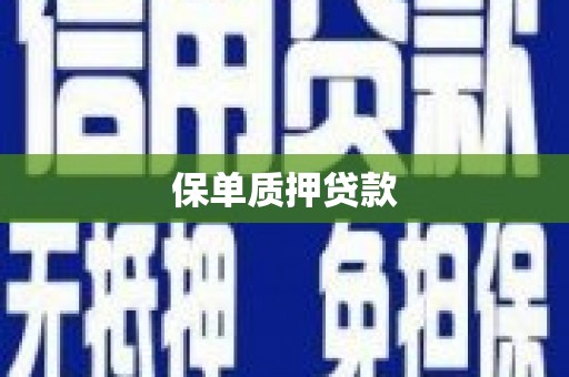 曲水保单质押贷款