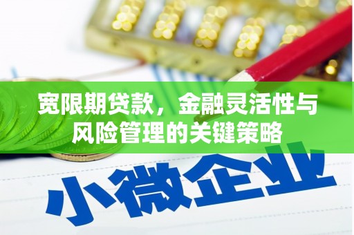 曲水宽限期贷款，金融灵活性与风险管理的关键策略