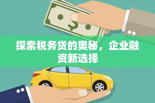 曲水探索税务贷的奥秘，企业融资新选择