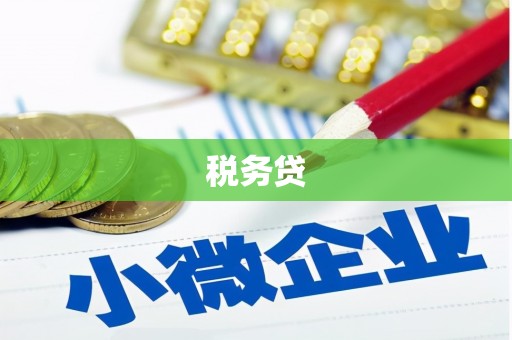 曲水税务贷
