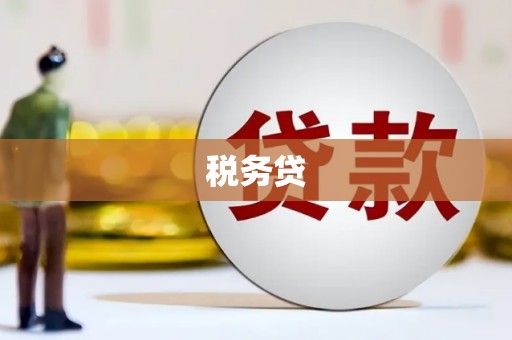 曲水税务贷