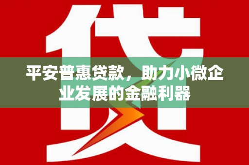 曲水平安普惠贷款，助力小微企业发展的金融利器