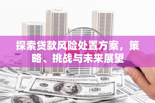 曲水探索贷款风险处置方案，策略、挑战与未来展望