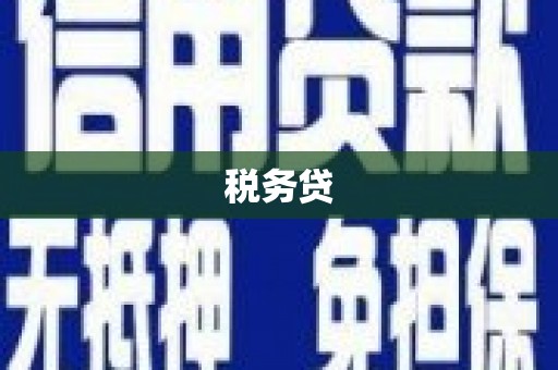 曲水税务贷