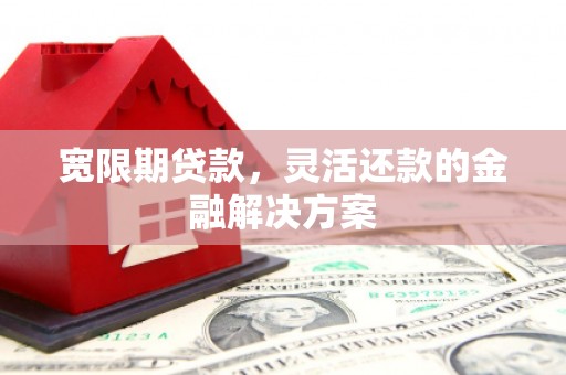 曲水宽限期贷款，灵活还款的金融解决方案
